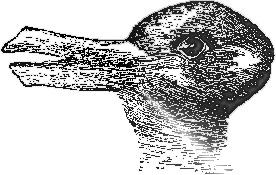 rabbit-duck image