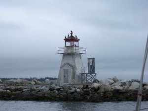All the cool birds hang out in Nova Scotia.