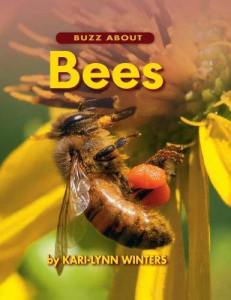Read about the awesomeness of bees to help conquer your fear.