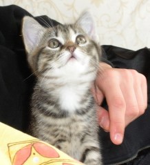 Please don't hurt me.