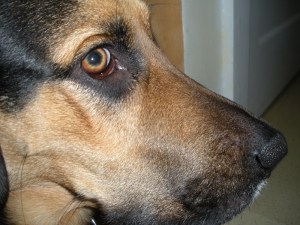 Stop making eye contact - it's freaking me out.