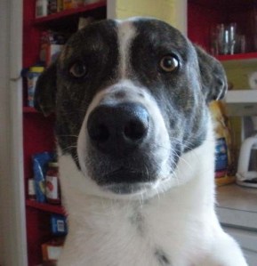 For god's sake, just take the picture.