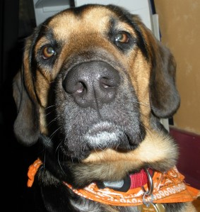 I can't hold this pose much longer.