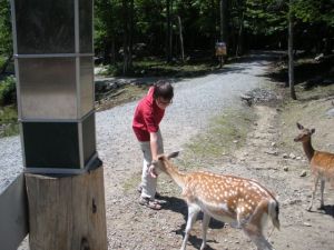 "Want a jelly bean?" the little boy laughed.