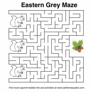 Maze