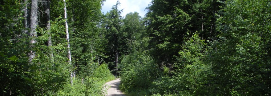 country road