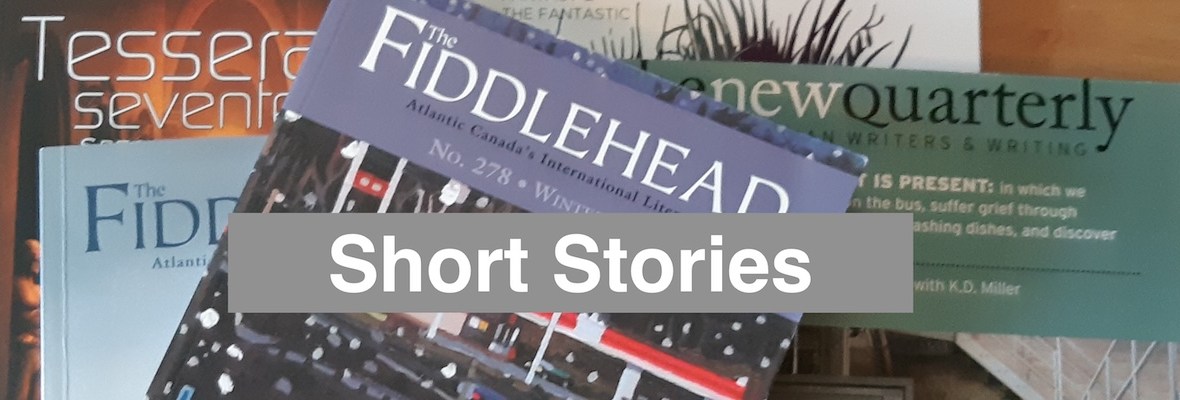 several litmag covers