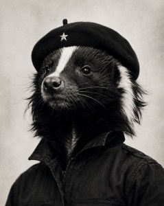 Skunk in Che Guevera-style portrait